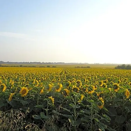 Campagne Ocean Nocleg ze śniadaniem 4*