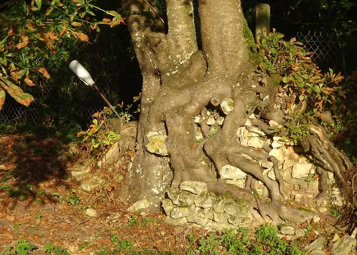 Campagne Ocean Bed and Breakfast 4*