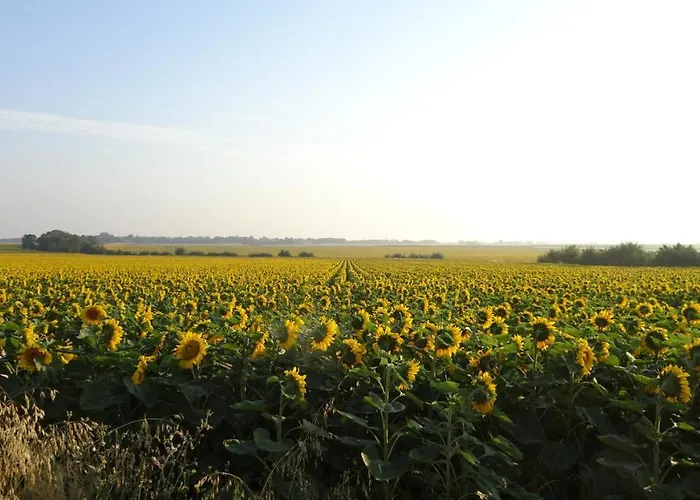 Campagne Ocean 4* Montroy